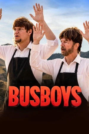Busboys 2026 Hindi Dual Audio WEB-DL 720p - 480p - 1080p