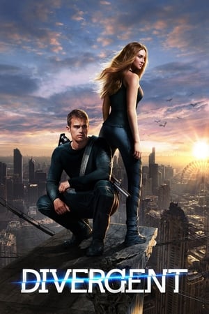 Divergent (2014) Hindi Dual Audio 480p BluRay 450MB - Movierulz