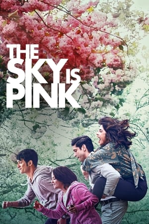 Sky Is Pink (2019) Hindi Movie 480p HDRip – [450MB] - Movierulz