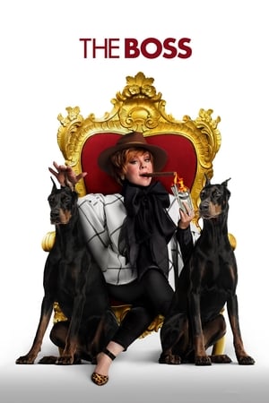 The Boss (2016) Hindi Dual Audio 720p BluRay [1.2GB] - Movierulz
