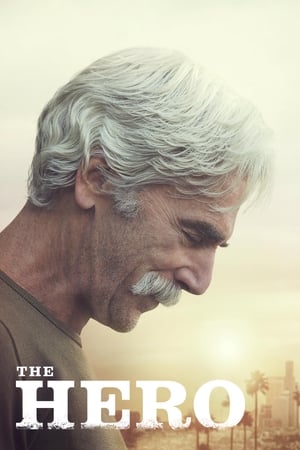 The Hero (2017) Hindi Movie 480p HDRip - [300MB] - Movierulz