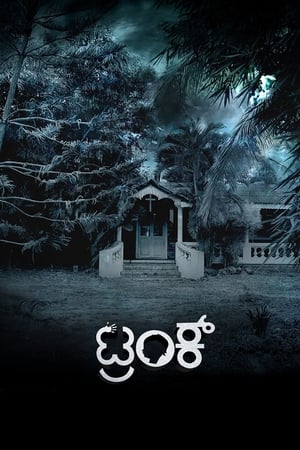 Trunk (2018) (Hindi – Kannada) Dual Audio 480p UnCut HDRip 450MB - Movierulz